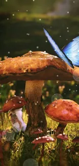 Blue butterfly rests on a mushroom in a lush forest setting.