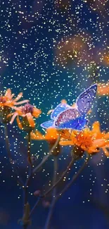 Blue butterfly resting on orange flowers against a dark blue background.