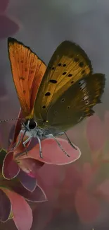 Orange butterfly on vibrant petals with soft background.