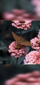 Butterfly perched on pink flowers with a serene background.