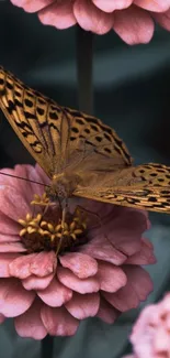 A butterfly perched on a blooming pink flower with soft green background.