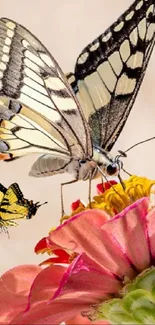 Butterfly resting on a vibrant pink flower in natural setting.