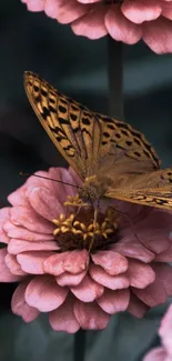 Butterfly resting on a pink flower wallpaper with artistic detail.