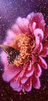 Butterfly on a pink flower with a starry night background.