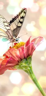 Butterfly resting on a pink flower with a soft bokeh background.