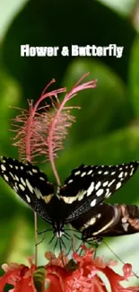 Butterfly perched on a pink flower against lush green leaves.