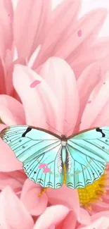 Butterfly resting on pink flowers in spring.