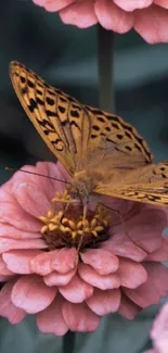 Butterfly gracefully resting on a pink flower, creating a serene mobile wallpaper.