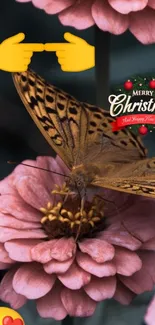 Butterfly perched on pink flower with Christmas text.