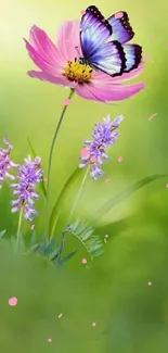 Beautiful butterfly on pink flower with green background.