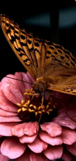 Butterfly resting on pink flowers with vibrant colors