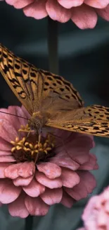 Butterfly on delicate pink flowers mobile wallpaper