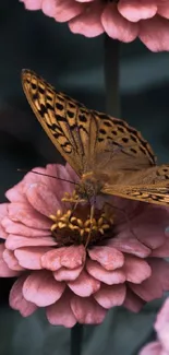 Butterfly resting on pink flowers in a serene nature setting.
