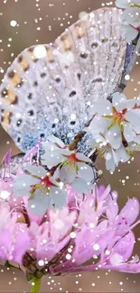 Butterfly resting on pink flowers with white artistic spots.