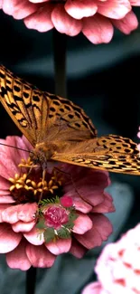 Butterfly resting on pink flowers wallpaper.