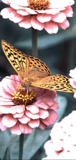 Butterfly resting on pink flowers mobile wallpaper.