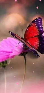 Vibrant red butterfly resting on pink flowers.