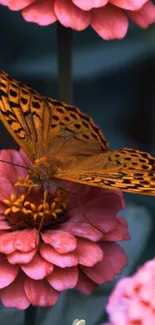 Butterfly on pink flowers mobile wallpaper.