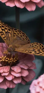 Butterfly resting on pink flowers in this elegant wallpaper.