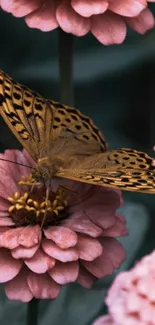 A detailed butterfly resting on soft pink flowers.