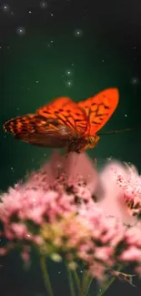 Orange butterfly on pink flowers with dark green background.