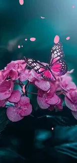 Butterfly resting on vibrant pink flowers with dark green foliage.