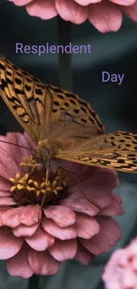 Butterfly resting on pink flowers with lush green background.