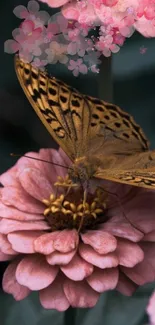 Butterfly resting gently on vibrant pink flowers.