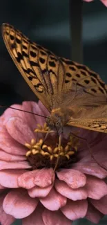 Butterfly resting on pink flowers in nature.