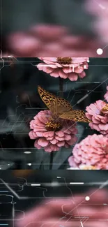 Butterfly on pink zinnia flowers with a digital overlay in a stylish wallpaper.