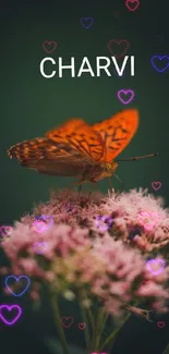 Orange butterfly on pink flowers with dark green background.