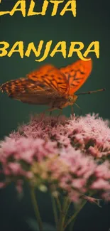 Orange butterfly on pink flowers mobile wallpaper.