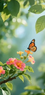 Butterfly rests on vibrant pink flowers with green leaves surrounding.
