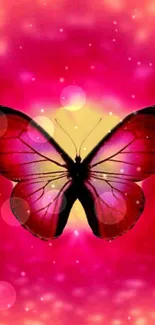 Vibrant butterfly on glowing pink background.