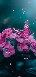 Butterfly on pink hydrangea flowers with blue background.