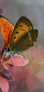 Vibrant butterfly resting on pink petals, highlighting nature's elegance.