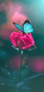 Blue butterfly on pink rose with teal background.