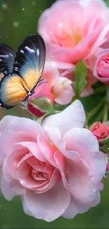 A butterfly sitting on vibrant pink roses against a green backdrop.