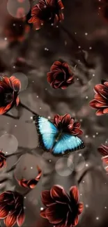 Blue butterfly among red flowers on a brown background.