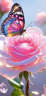 Colorful butterfly on pink rose flower, sparkling in sunlight.