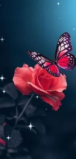 Beautiful pink butterfly resting on an orange rose with a blue background.