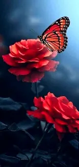 Butterfly resting on red roses with a blue backdrop.