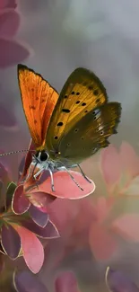 Vibrant butterfly on soft red leaves background.