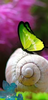 Green butterfly on a spiral shell with lush background