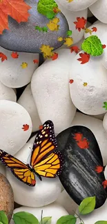 Vibrant butterfly on white stones with leaves.