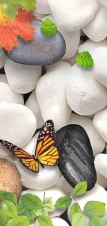 Butterfly on stones with autumn leaves and green foliage wallpaper.