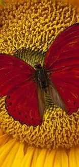 Red butterfly on a bright yellow sunflower wallpaper.