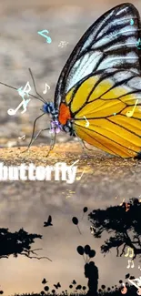 A vibrant butterfly rests on warm, sunlit ground, showcasing natural beauty.