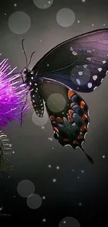 Black butterfly perched on purple thistle flower with a dark background.