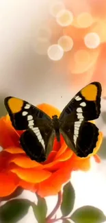 Orange butterfly on a vibrant flower mobile wallpaper.